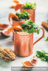 Close up of summer or spring Moscow Mule in copper mug 5qOpab