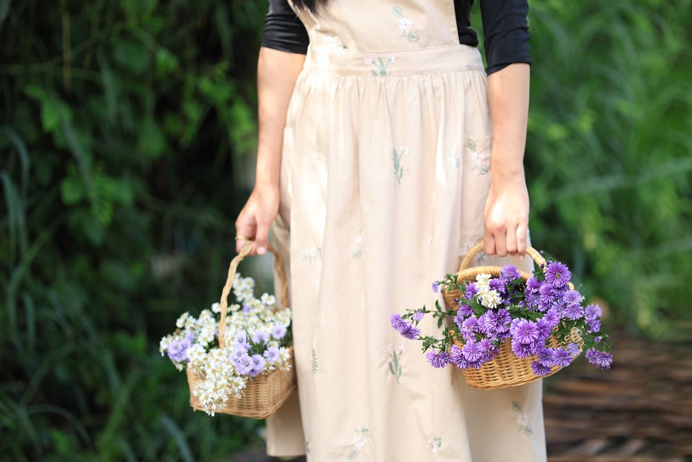 Woman in the Meadow Field Enjoys and Collects a Bouquet of Purple and Pink Peacock