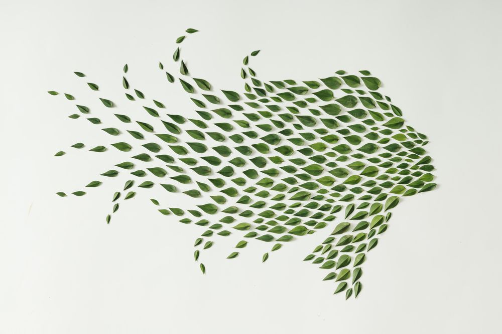 Woman silhouette made of green leaves