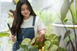 Asian female with digital tablet taking inventory in greenhouse
