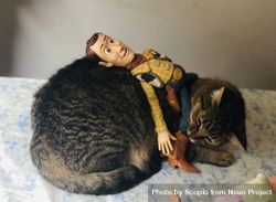 Toy story character on sleeping cat 0yGQO4