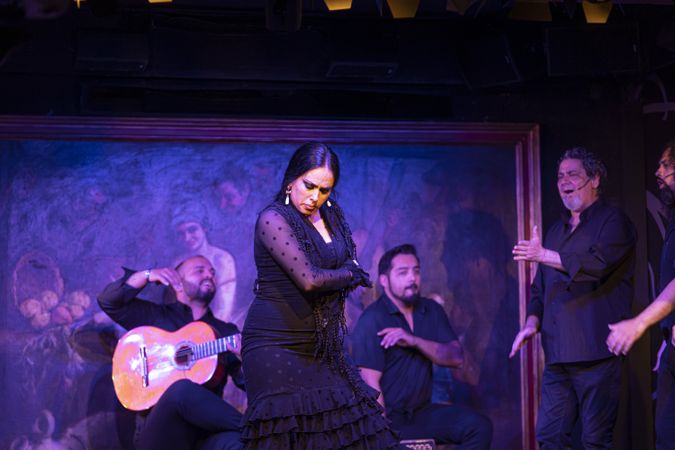 Flamenco performance on stage
