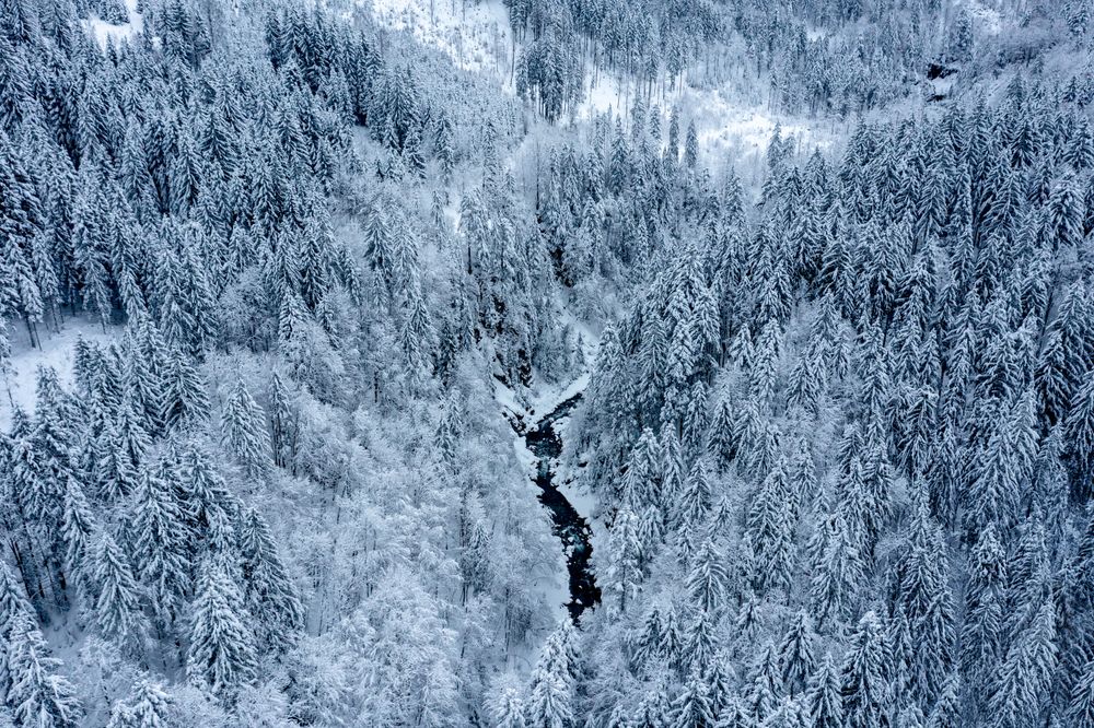 Aerial image with a snow-covered woodland and river in the Bavarian Alps, Germany
