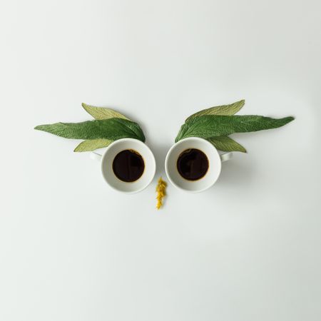 Owl face made of coffee cups and leaves