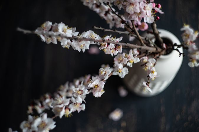 Top view of vase with apricot blossom on wooden table