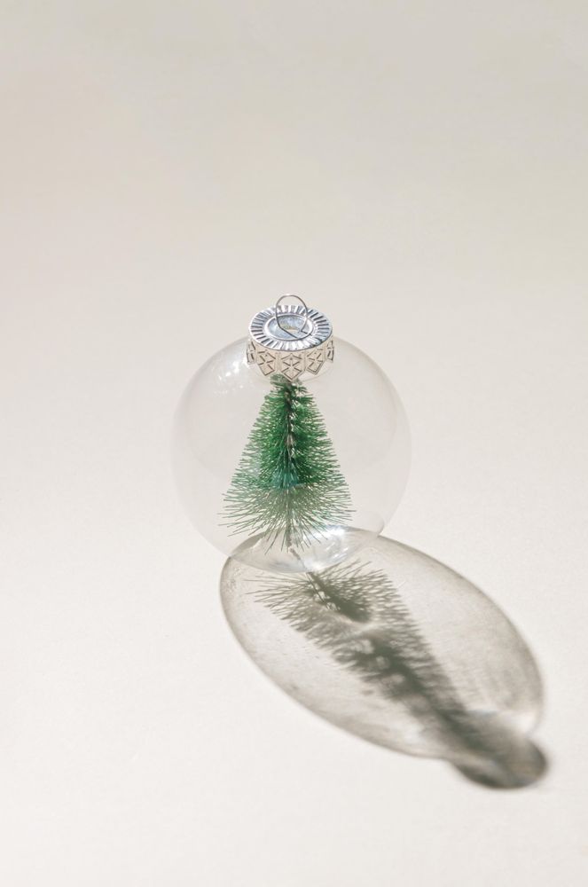 Christmas tree inside of Christmas bauble with sunny day shadow