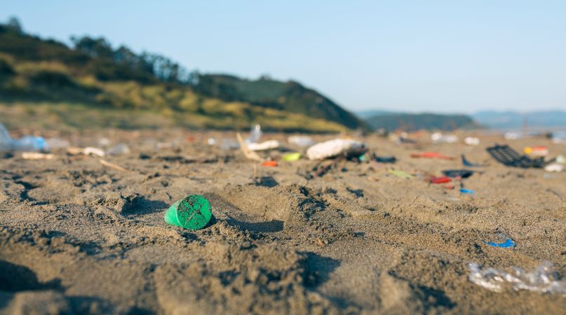 Dirty beach landscape full of waste