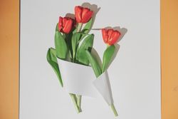 Tulips wrapped in light paper card note