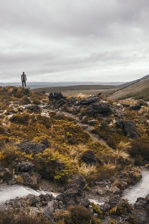Tourist walking amid cliffs at New Zealand