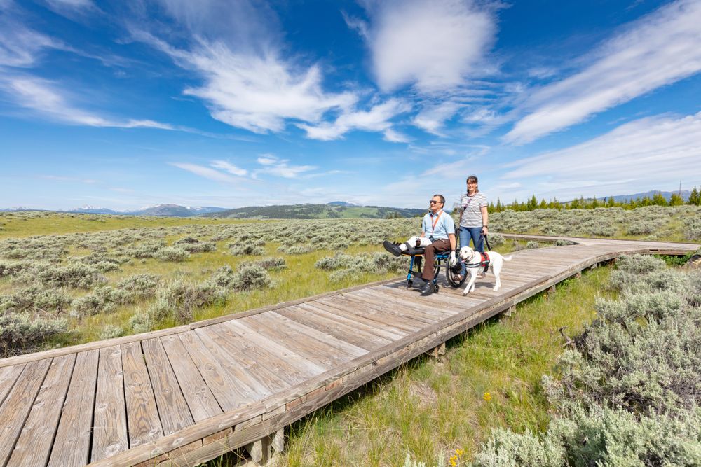 Man woman and dog exploring the Northern Range boardwalk