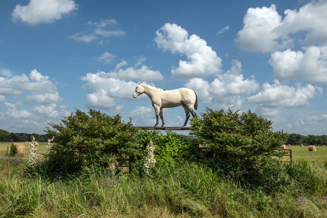 Horse near the entrance to a farm in Hopkins County, Texas