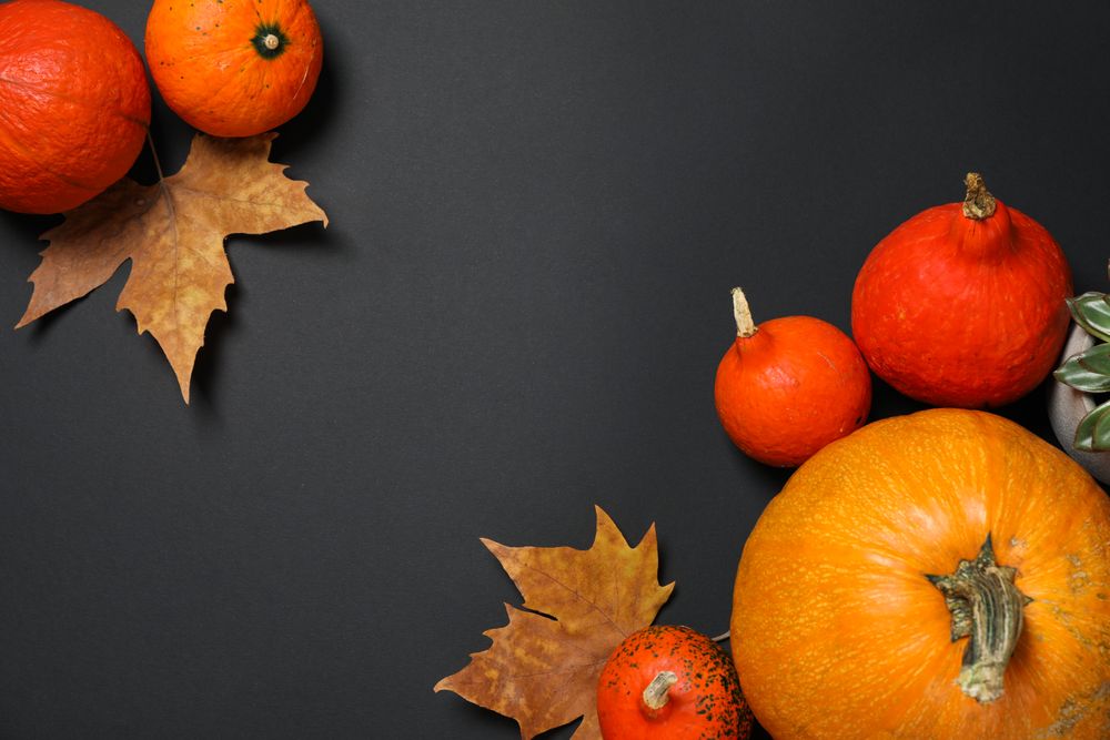 Composition with pumpkins and leaves on dark background, copy space