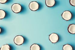 Coconut halves pattern bordering a pastel blue background