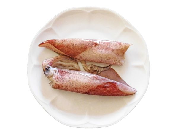 Squid In The Kitchen On Plain Background