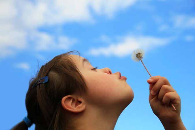 Female child making a wish with a dandelion