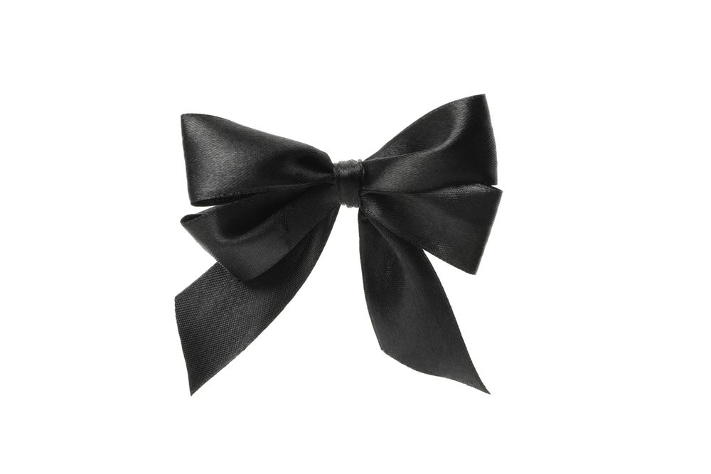 dark bow isolated on bright background, close up