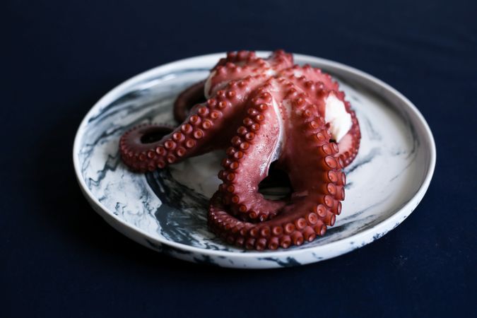 Red fresh fleshy octopus in plate