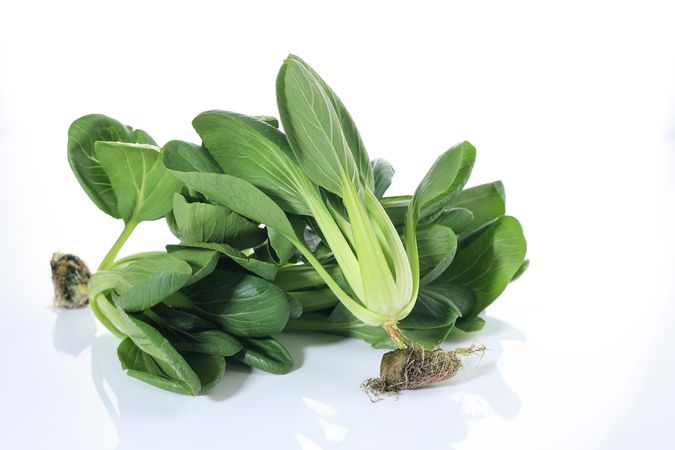 Fresh Bok Choy or Chinese Cabbage Isolated
