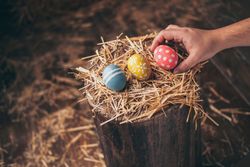 Hand placed Easter eggs on wooden stump