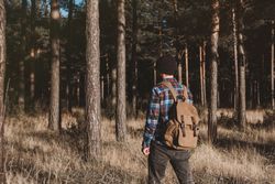 Confident tourist walking along autumn forest