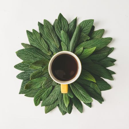 Morning coffee and green leaves in flower shape on light background