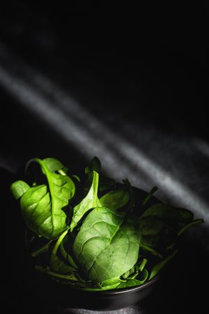 Fresh spinach on dark background