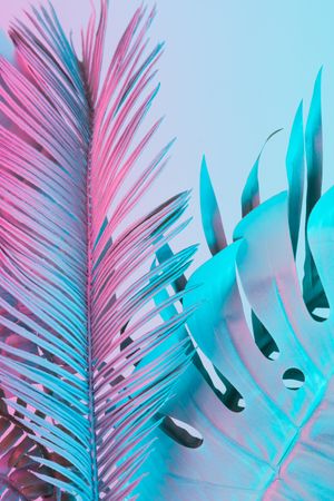 Tropical and palm leaves in vibrant bold gradient holographic colors