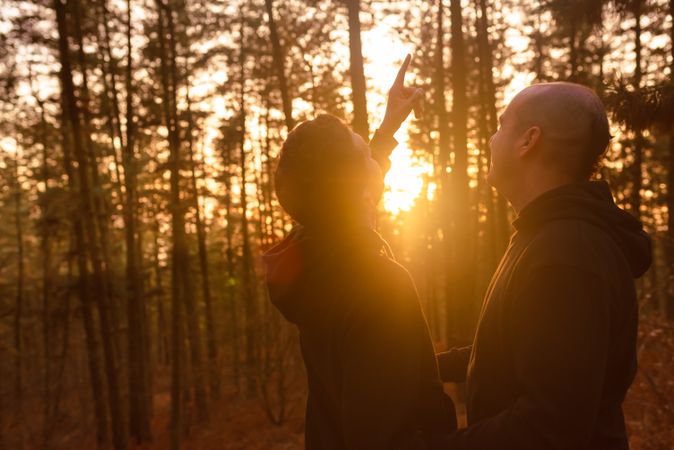 Men hugging in forest at sunset
