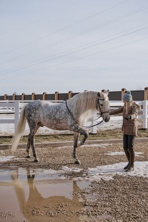 Warm dressed woman with gray horse outside