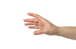 Female hand isolated on plain background. Gestures