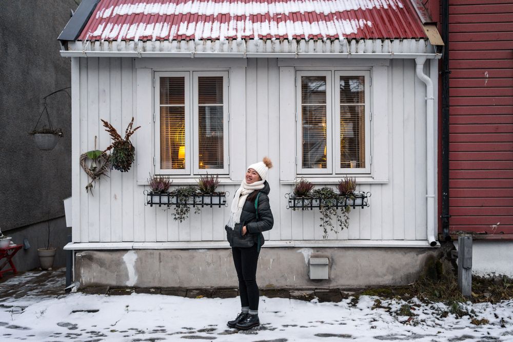 Cheerful female against northern house