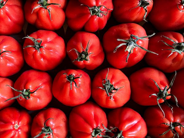 Tops of heirloom tomatoes