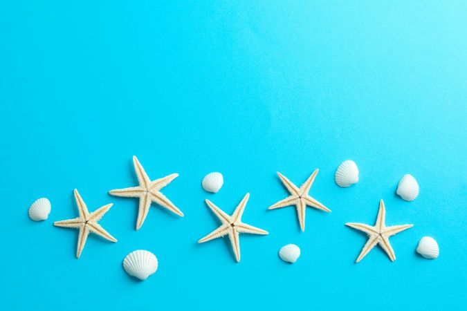 Flat lay composition with starfishes and seashells on color background, space for text