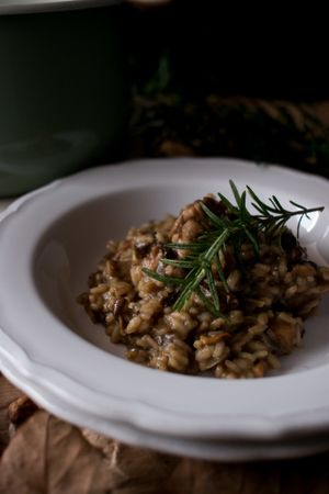 Rosemary on risotto with rabbit and mushrooms