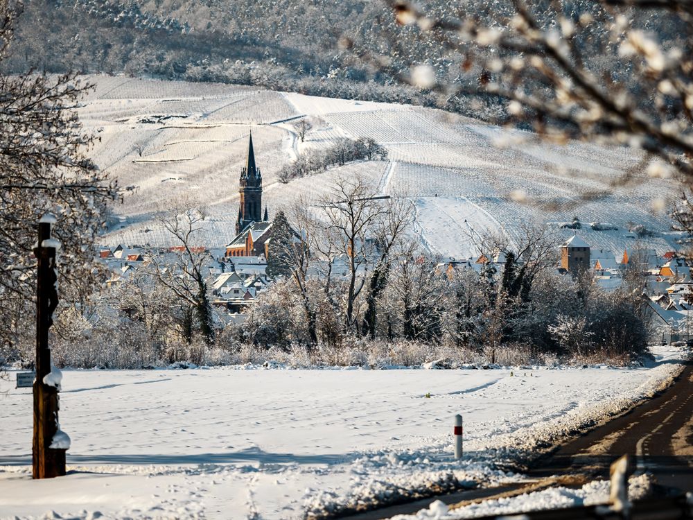 An old Alsatian town under the snow. The bell tower of the cathedral and the roofs of medieval houses.