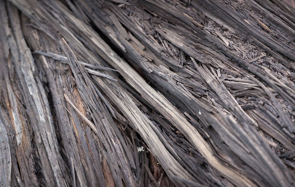 Texture of splintered wood