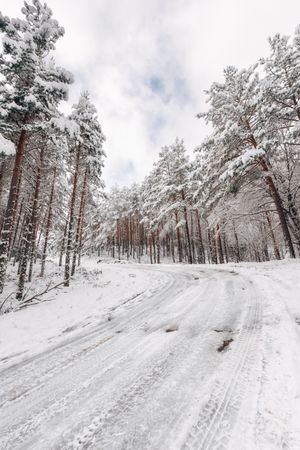 Winter snowy empty country road