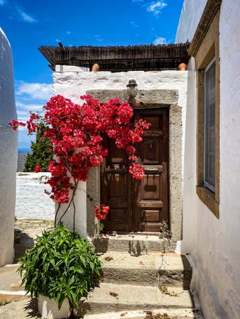 Patmian door with red Bougainvillea