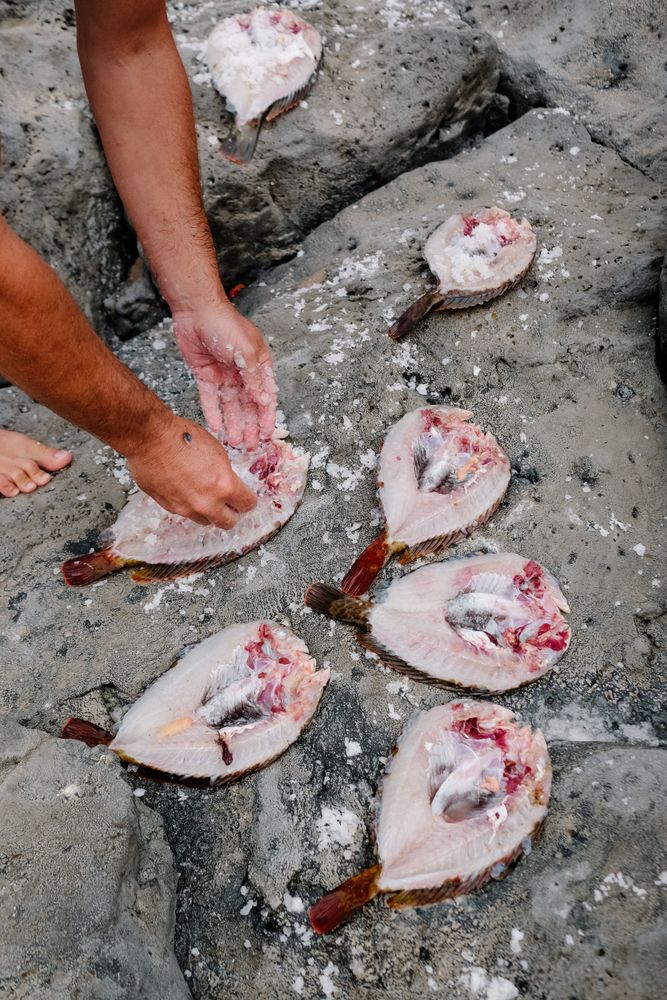 Man deboning fresh fish on rocks at seaside