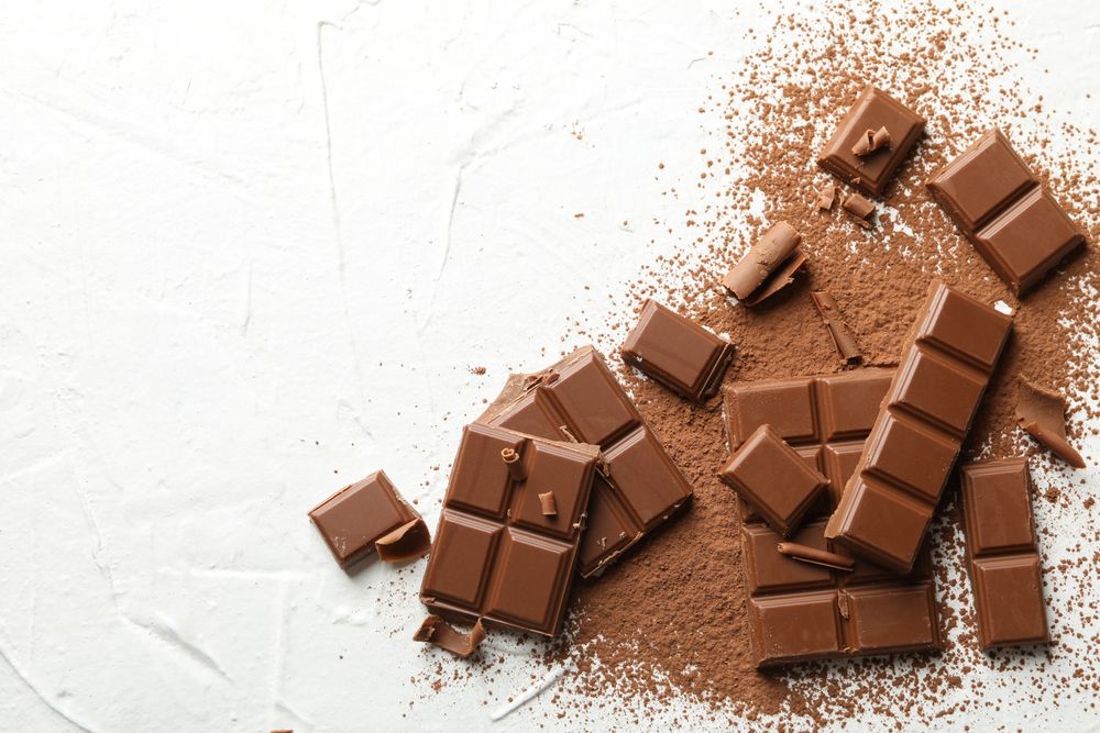 Tasty chocolate and powder on plain background. Sweet food