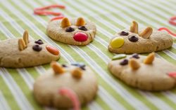 Cookies with mouse shaped and red licorice tail