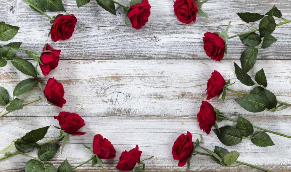 Valentine’s Day circle of red roses in heart outline