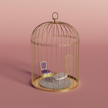 Golden bird cage and home furniture