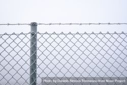 Frozen wire fence 56kjd4