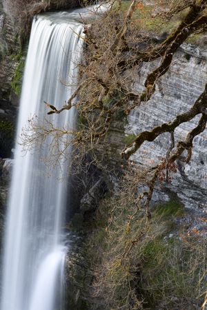 Autumn tree and waterfall
