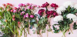 Various sorted summer flowers flat-lay, wide composition
