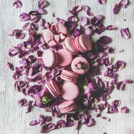 Sweet pink macaron cookies on bed of purple petals, square crop