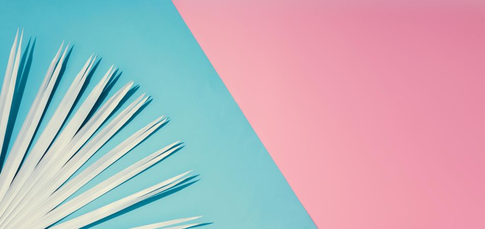 Tropical leaf on pastel pink and blue background