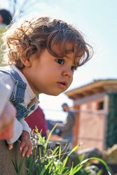 Cute toddler leaning on fence in village in sunlight