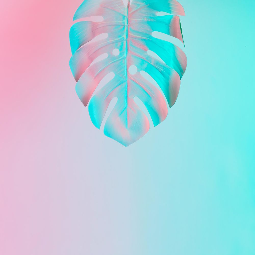 Tropical leaf in vibrant bold gradient holographic colors